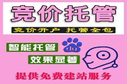 某企业SEM广告投放的优化策略